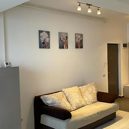Vs Decebal Apartment Bucharest